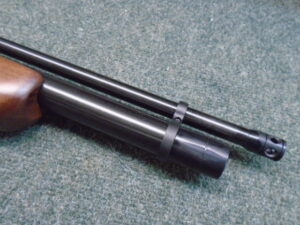 Alternative view of COYOTE .22 Airgun by Gamo