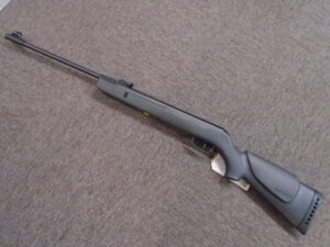 HORNET .22 Airgun by Gamo