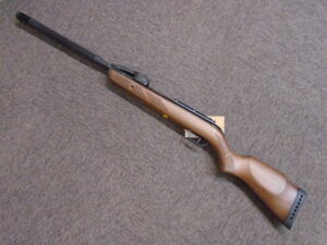 VARMINT SWARM .22 Airgun by Gamo