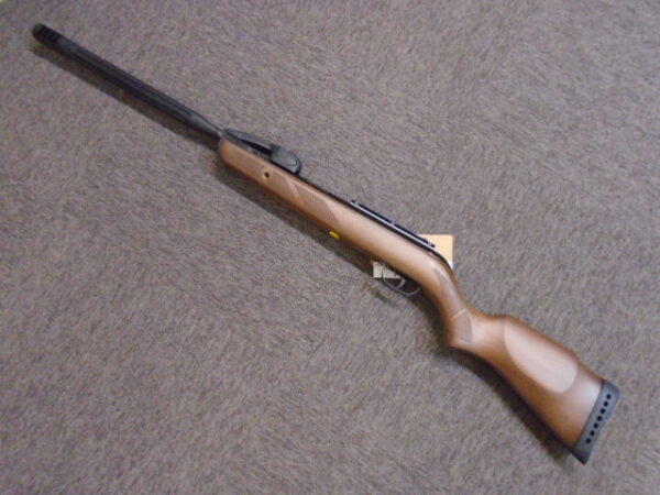 VARMINT SWARM .22 Airgun by Gamo