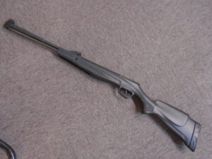 RX40 COMBO SYN .22 Airgun by Stoeger